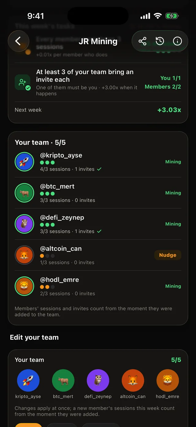 JR Mining Team tab: team members and the weekly team tasks